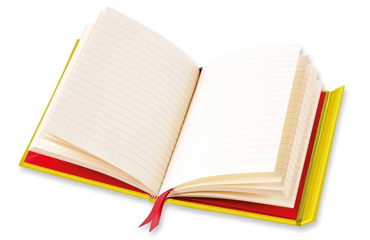 Wildflower Bee Blank Foiled Notebook / Journal (Magnetic Close)