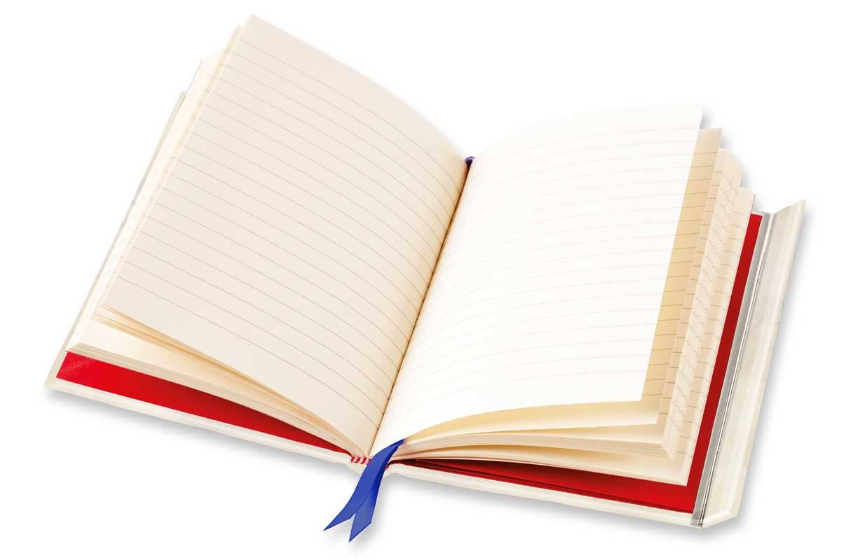 Blue & White Floral Blank Foiled Notebook / Journal (Magnetic Close)