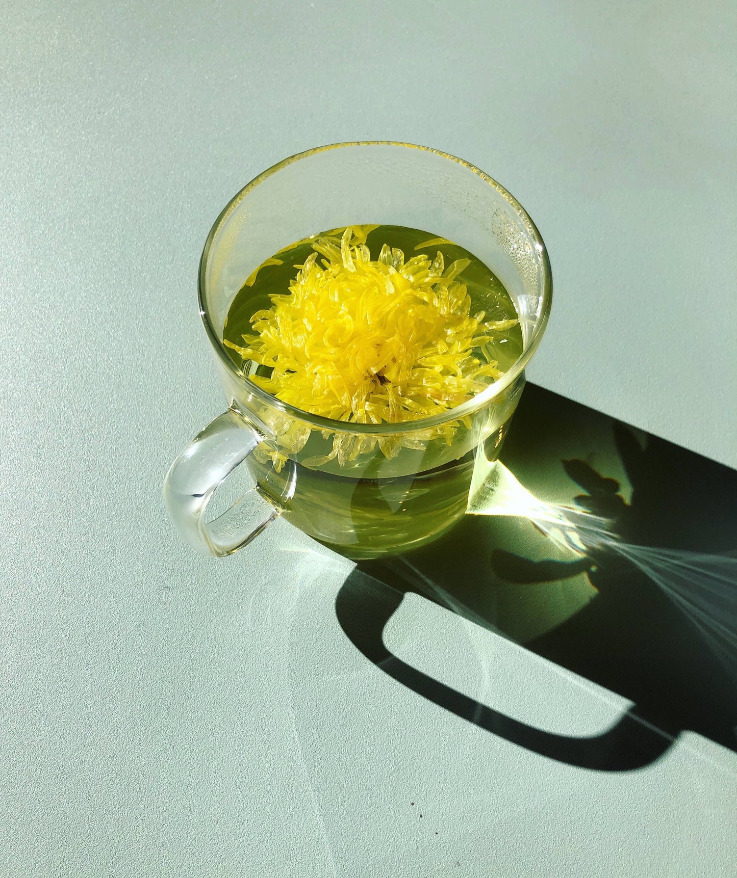 Set of 3 Blooming Flower Teas (Individually Wrapped)