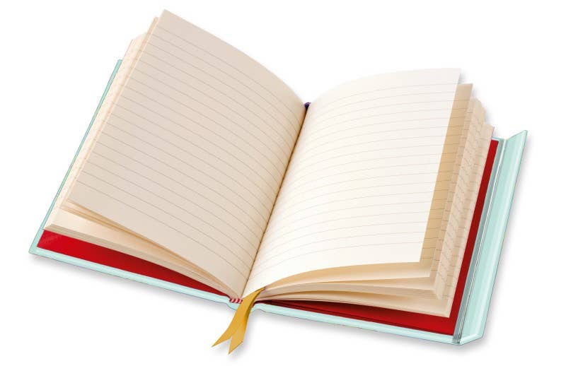 Wildflower Bee Blank Foiled Notebook / Journal (Magnetic Close)